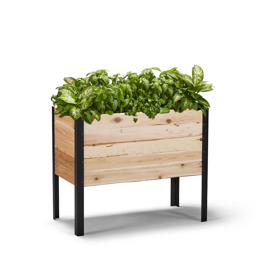 Raised Gardens